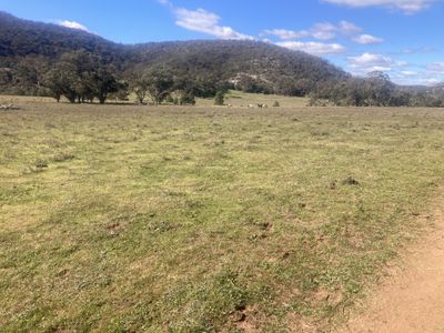 1950 FLAGGS ROAD, Gungal