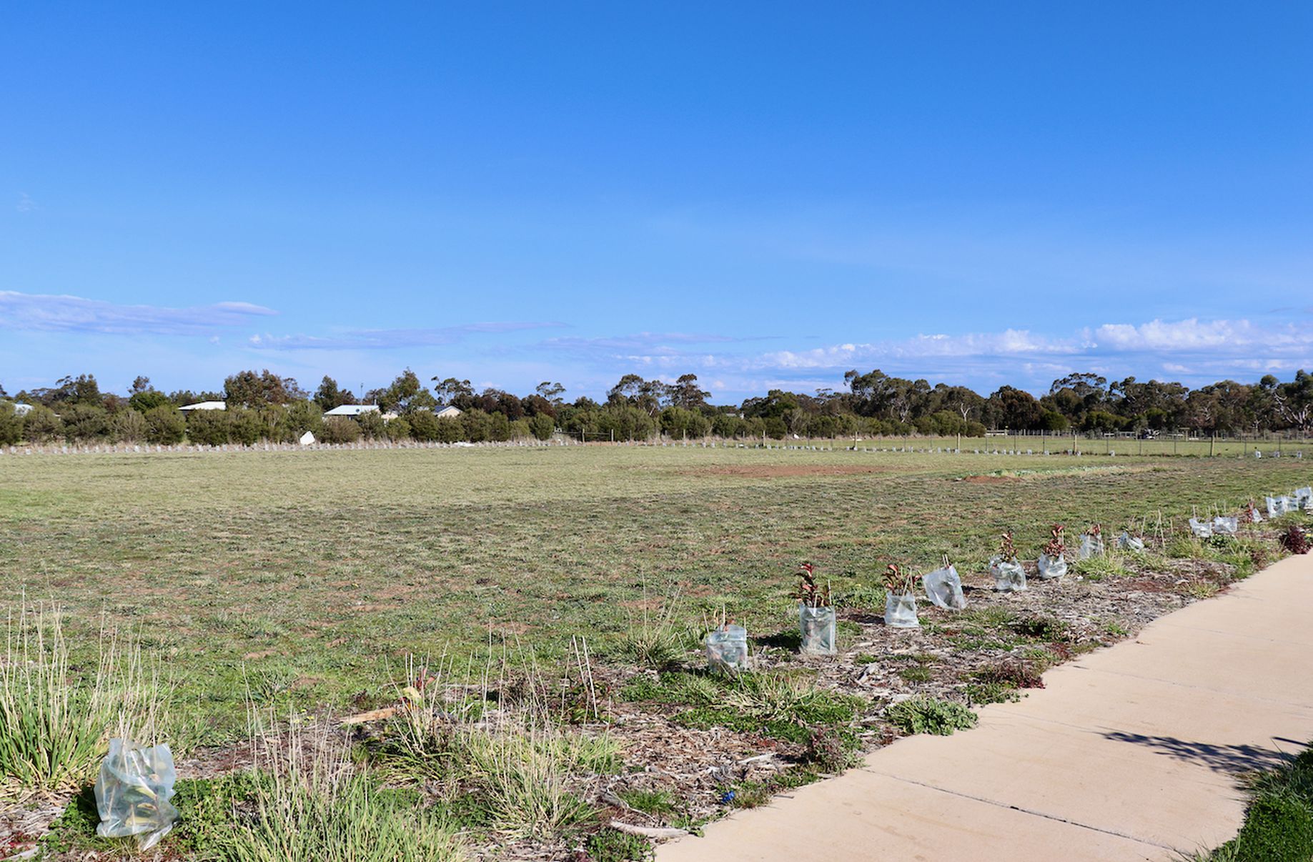 31 PEPPER TREE ROAD, Inverleigh