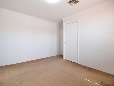 5 Diamondbird  , Baldivis