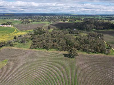Lot 737 & 739, Comaum School Road, Glenroy