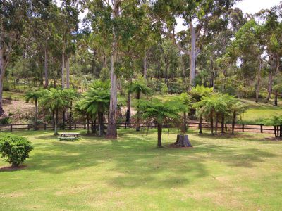 313 Back Creek Road, Lochiel