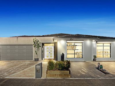 41 Pimelea Terrace, St Albans