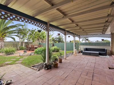44 Poinciana Street, Newtown
