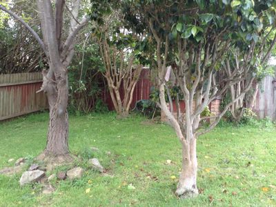 27 Donaldson Street, Port Kembla