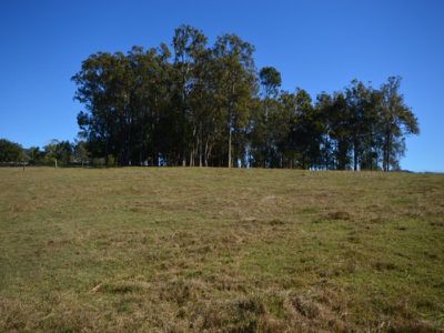 40 McGinn Road, Gheerulla