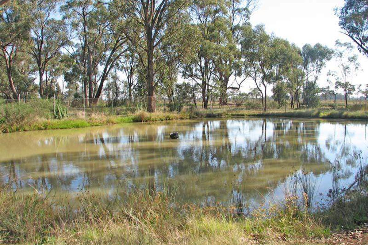 2460 Echuca Mooroopna Road, St Germains