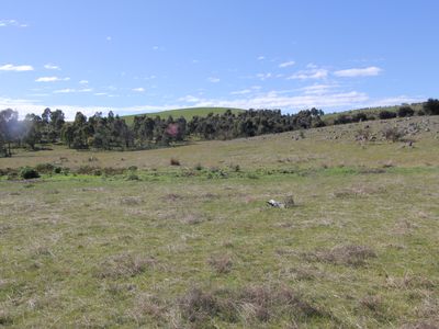 Barry Lane, Tooborac