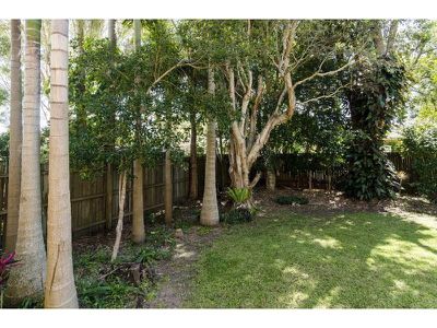 31 McNab Avenue, Tewantin