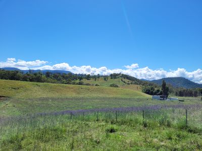 472 Neringla Road, Neringla