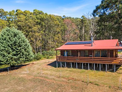 118 Facey Drive, Tolmie