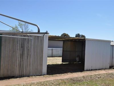 29 Patterson Street, Forbes