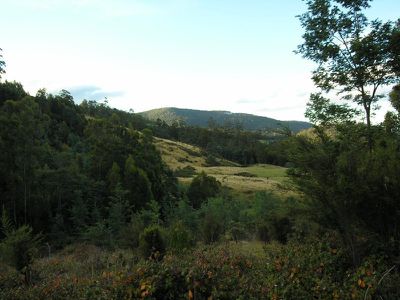 268 Dulcia Road, Gordon