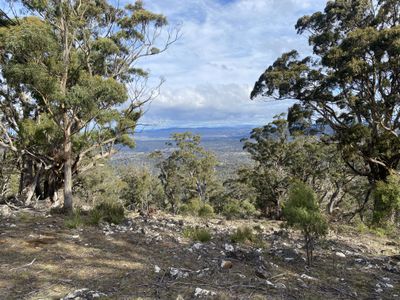 Lot 1 Honeysuckle Road, Tooms Lake