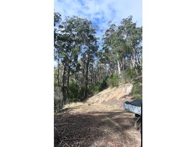 Lot 1 Oakfords Road, Lower Wattle Grove