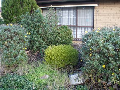 1 / 15 Pynsent Street, Horsham