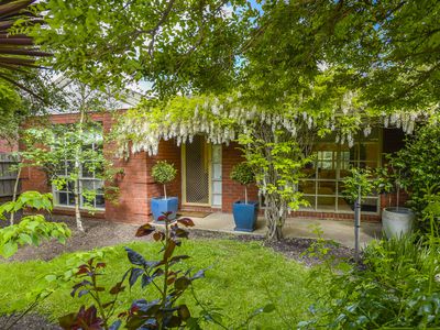 18 Vista Close, Gisborne