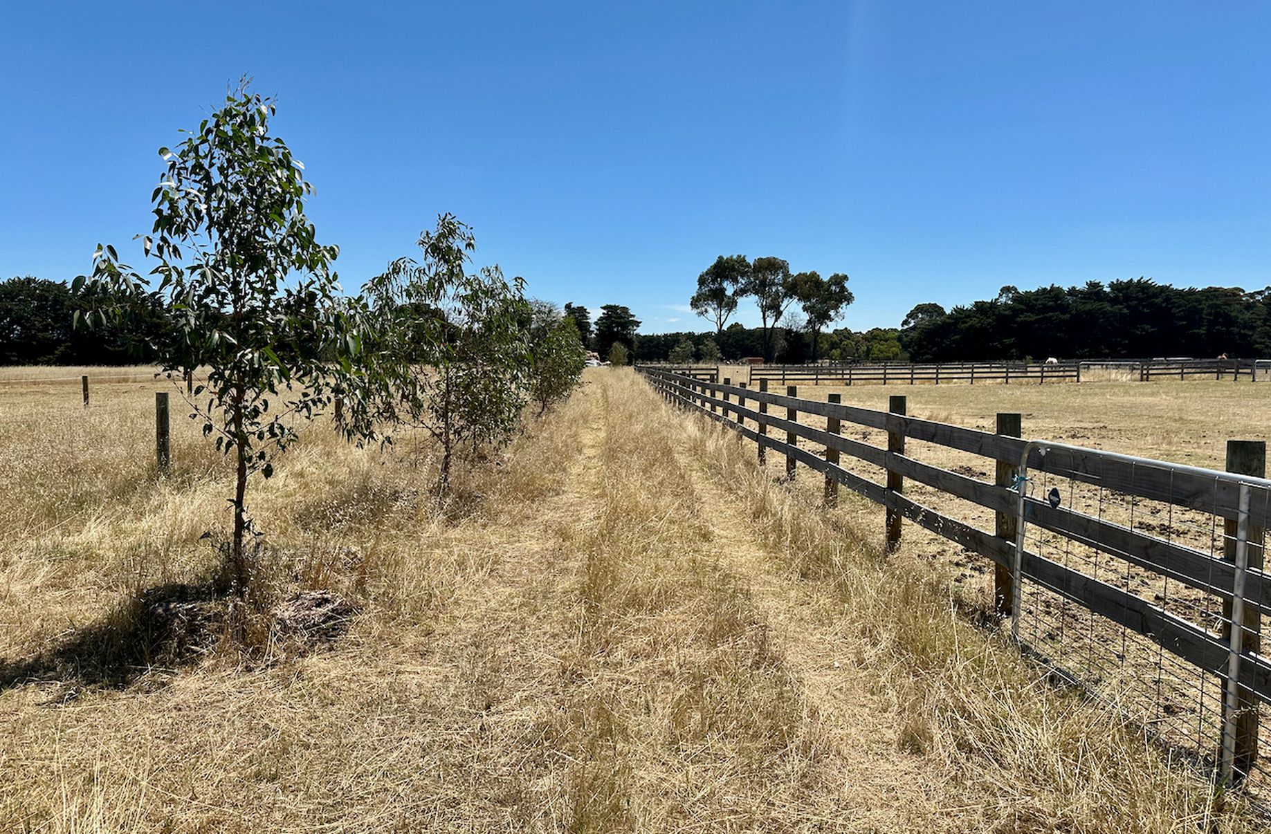 62 Jubilee Street, Inverleigh