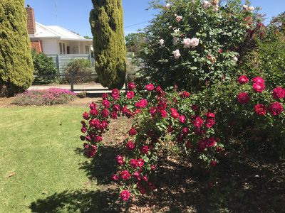 41 Forest Street, Barham