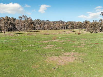 205 Hirds Road, Heathcote