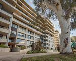 79 / 217 Northbourne Avenue, Turner