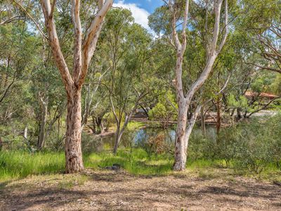 38 Carradine Road, Mount Nasura