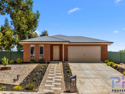 20 Janelle Drive, Maiden Gully