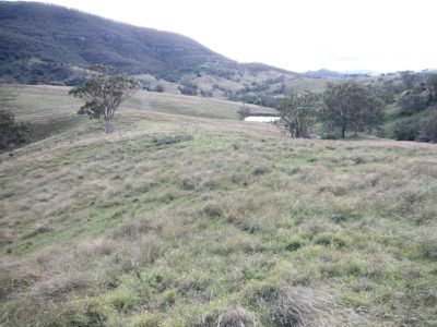 Rouchel Gap Road, Mccullys Gap