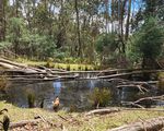 1640 TEHANS ROAD, Kerrisdale