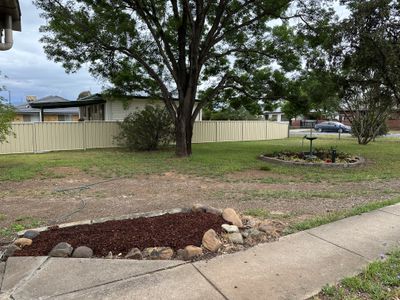 24 Wilburtree Street, Tamworth