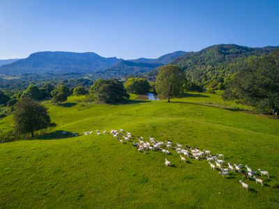 392 TUNTABLE FALLS ROAD, Nimbin