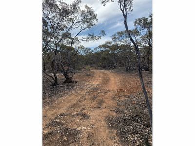 Lot 14 Stoneman Road, Bowhill