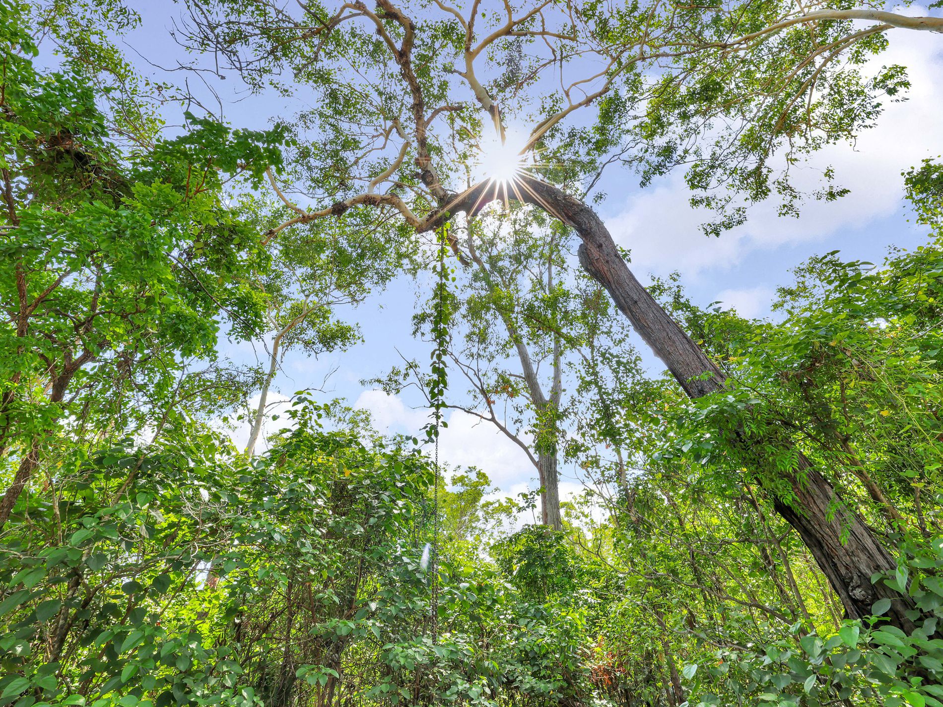 280 Beddington Road, Herbert