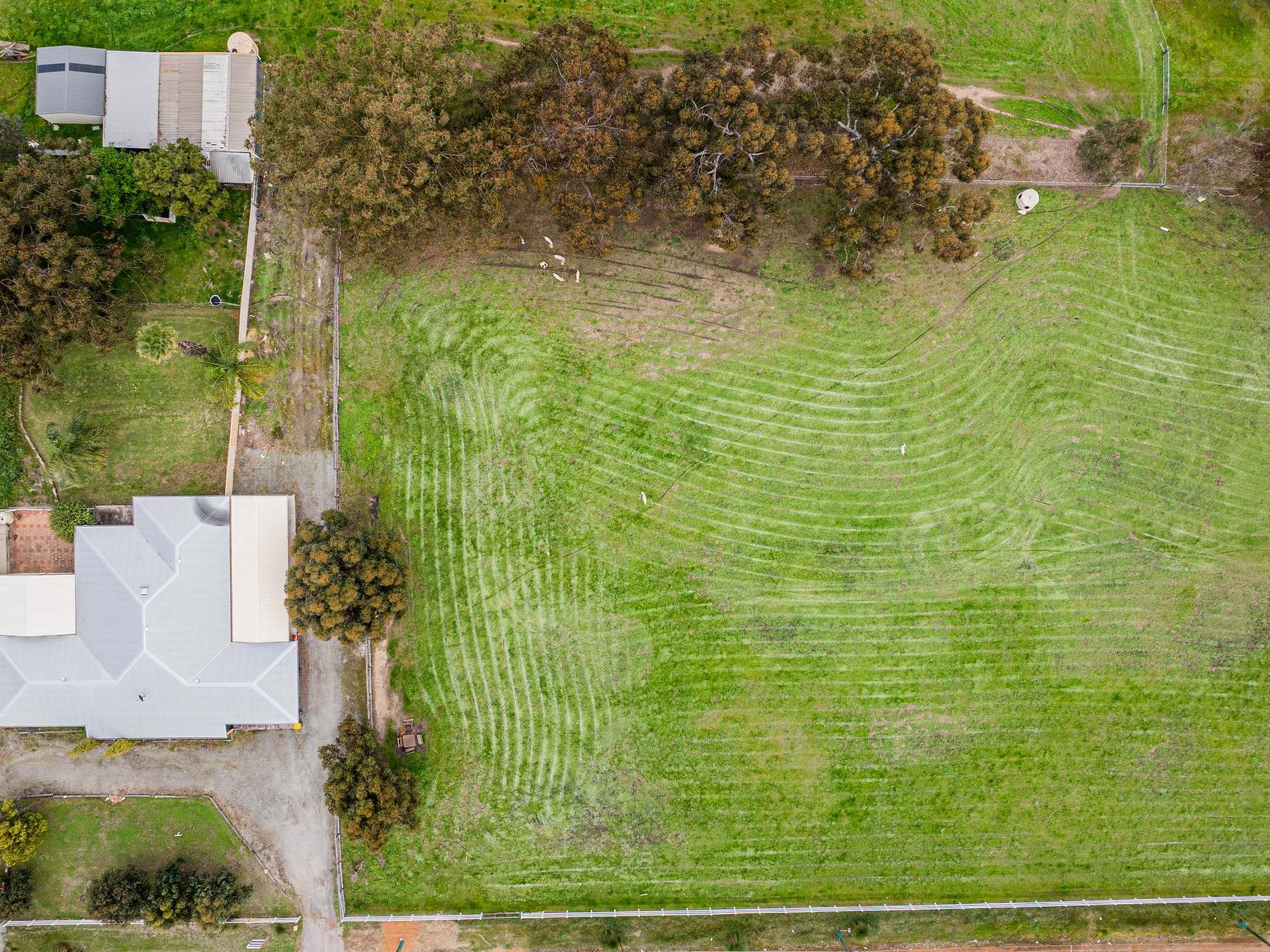18 Albert Road, Middle Swan