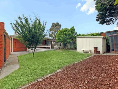 41 Caroline Crescent, Blackburn North