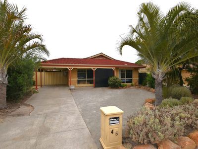 45 Waterlily Drive, Stratton