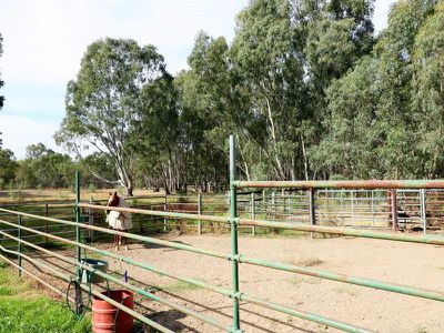 65 Highlands Rd, Seymour