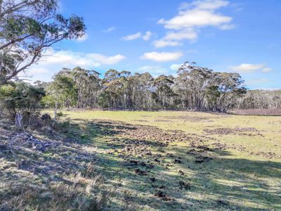 Lot 193 / 443 Back Creek Road, Mongarlowe