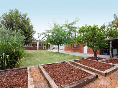 372 Walcott Street, Coolbinia