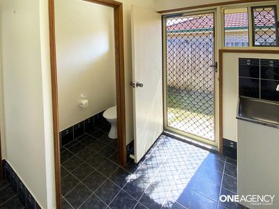 121 Ibis Boulevard, Eli Waters