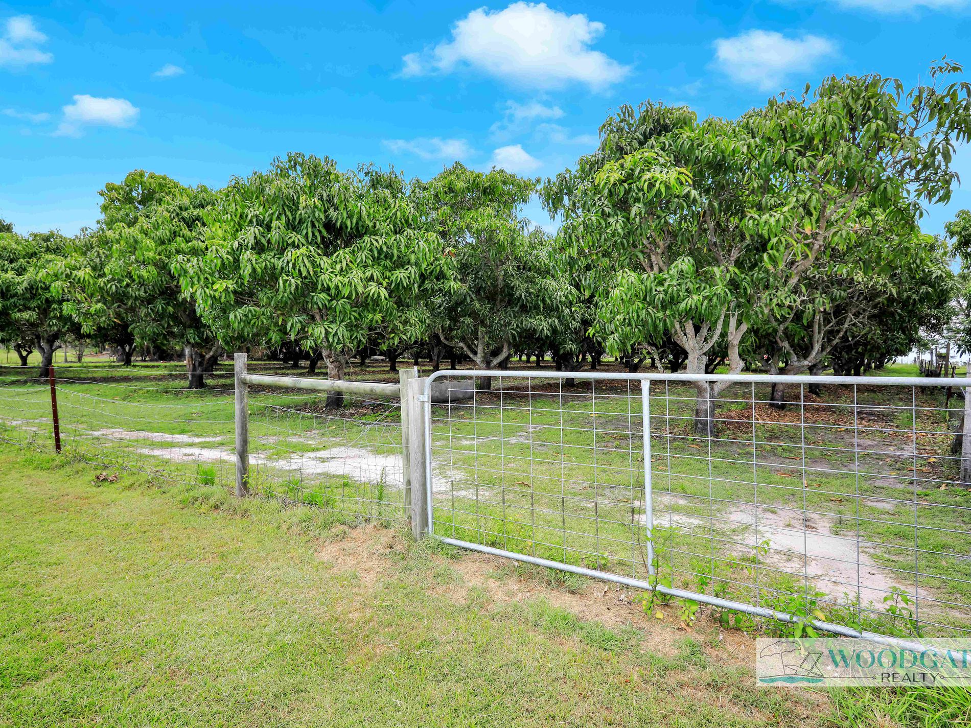 243 WOODGATE ROAD, Goodwood