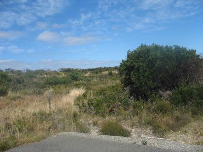 115 Bell Buoy Beach, Low Head