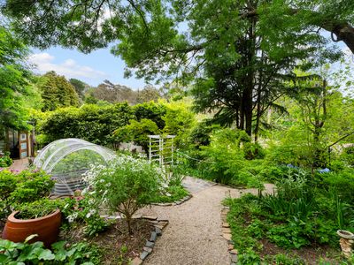 52 Wilpena Terrace, Aldgate