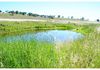 4096 Henry Parkes Way, Manildra
