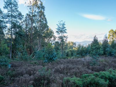 Lot 6 Paddys Lane, Franklin