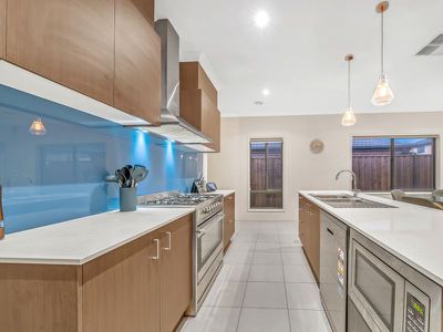 22 Aspire Avenue, Clyde North