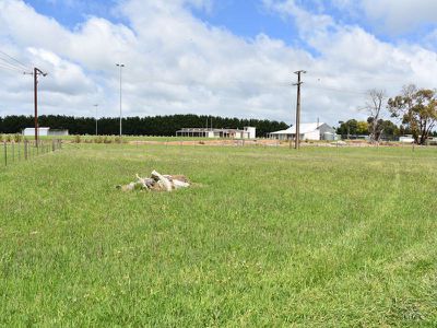 Lot 37 & 38, South Terrace, Tantanoola