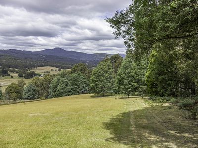 Lot 2, Fyfes Road, Mountain River