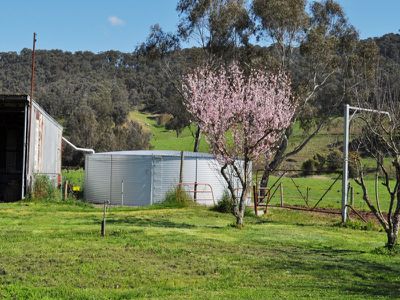 2782 Omeo Highway, Tallandoon