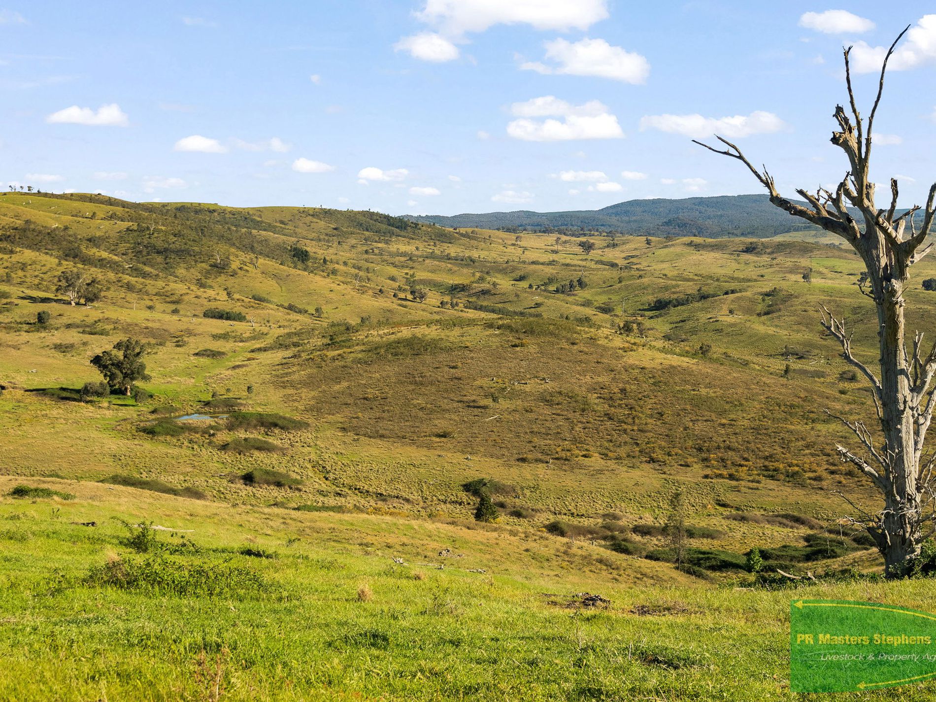 351 Shepherds Creek Road, Euchareena