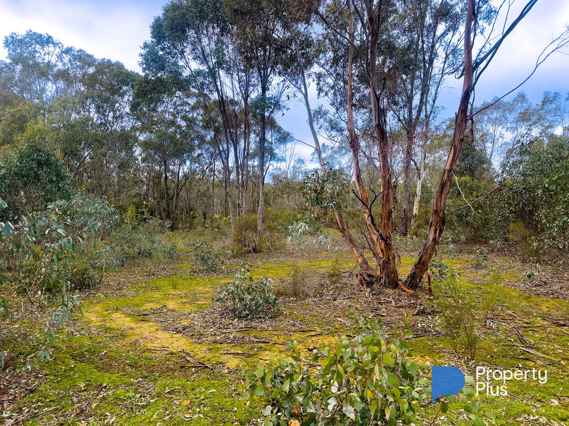 97 Bates Court, Heathcote